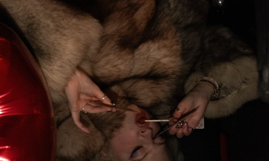 Alina Rolli Coverbild