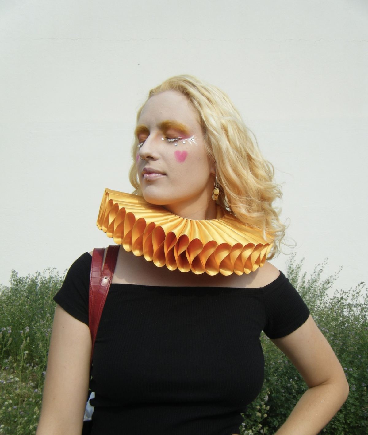 Isaphellia